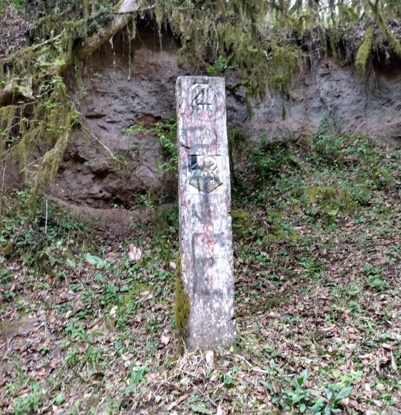 Cascada del Rio Noque景点图片