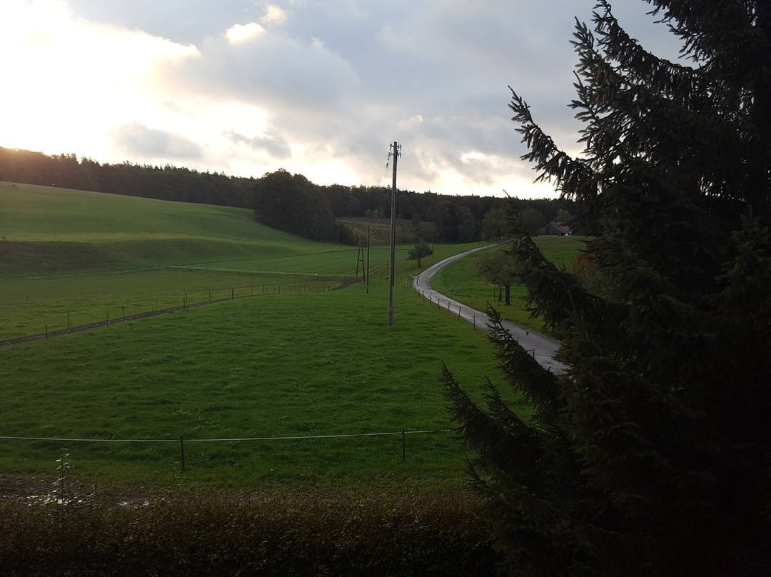 祖尔帕斯特兰德酒店主图