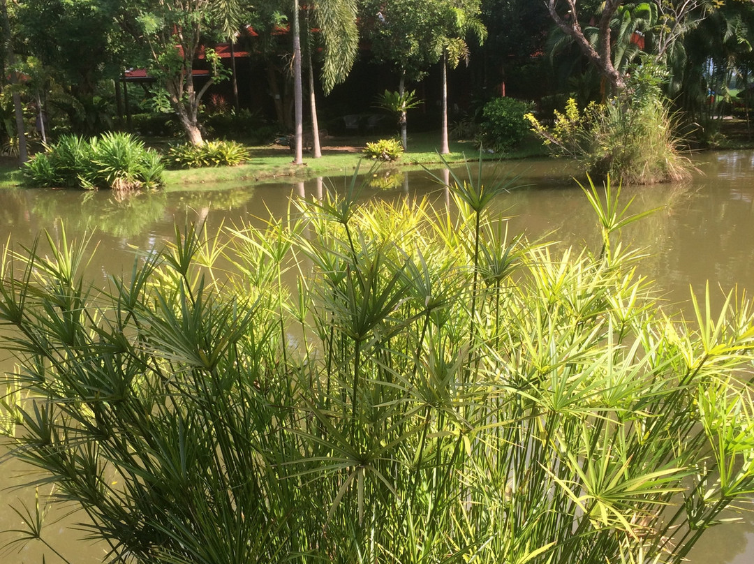 Baan Suchadaa Lampang Resort主图