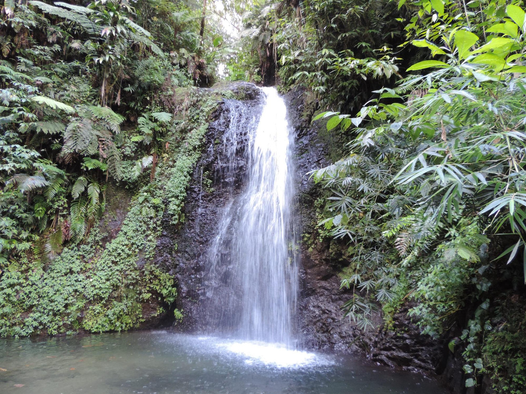 Cascade du Saut du Gendarme景点图片