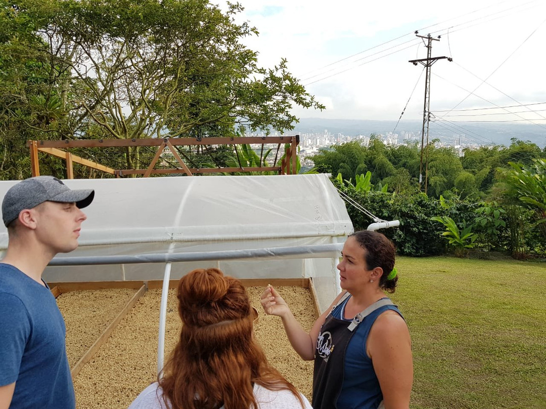 Serranía del nudo-Dosquebradas必去景点