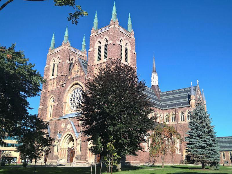 St. Peter's Cathedral Basilica London景点图片