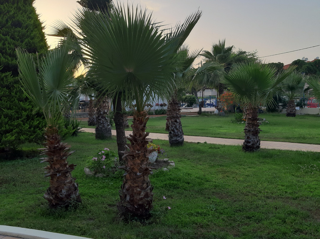 Tresor Sousouras主图