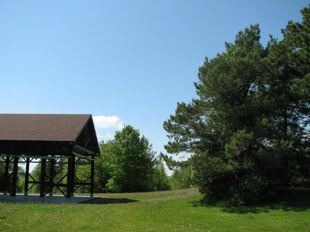 Peterborough Museum and Archives景点图片