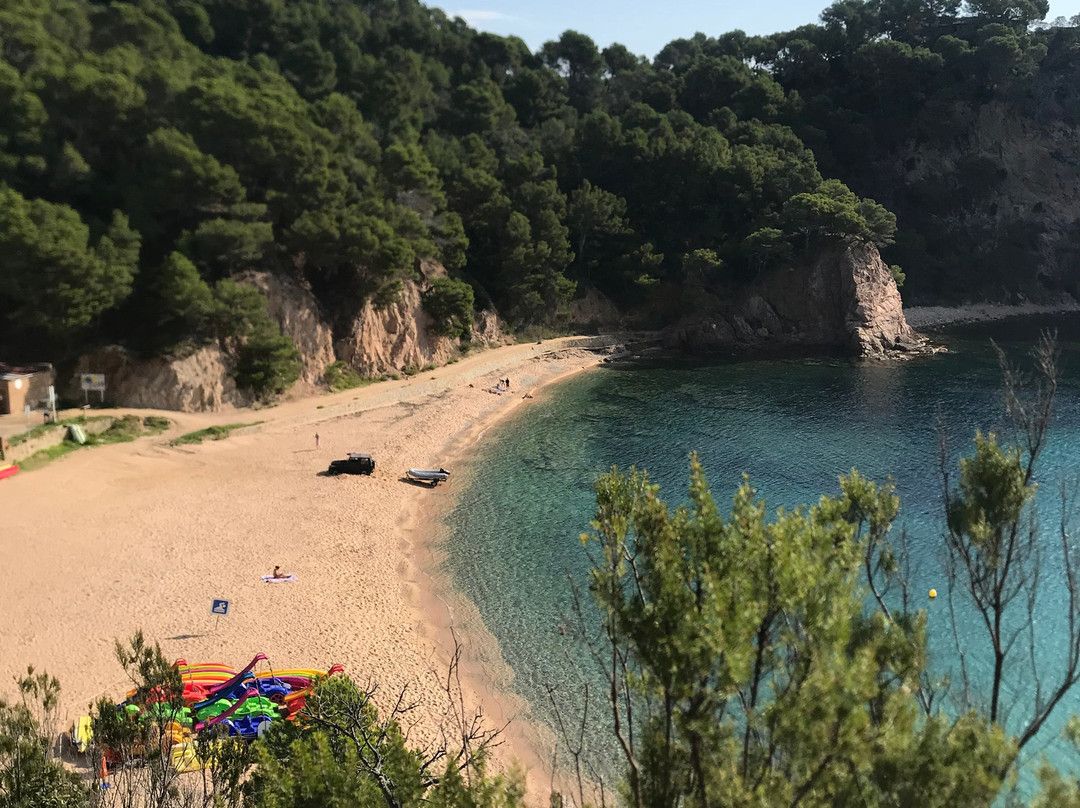 Cala Futadera景点图片