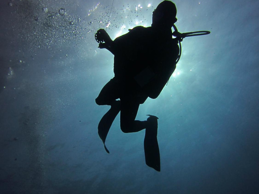 Dive  Palancar-考祖梅必去景点