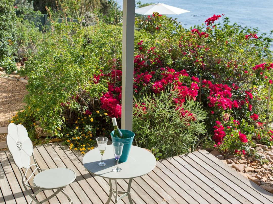 Watercolours Studios主图