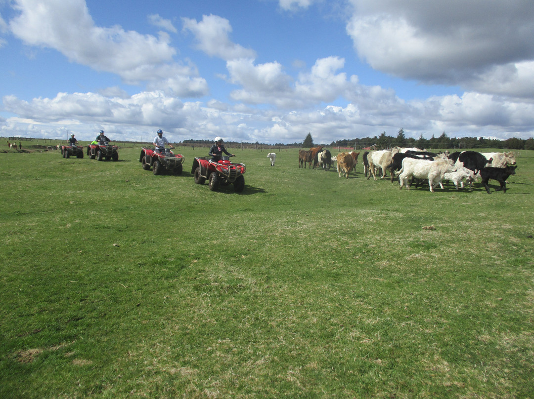 Ruapehu Adventure Rides-National Park Village必去景点