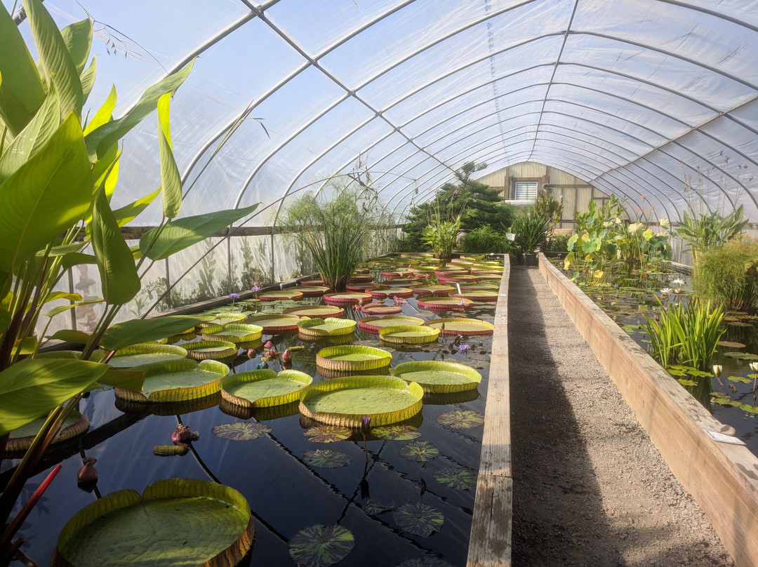图拉丁旅游景点-Hughes Water Gardens