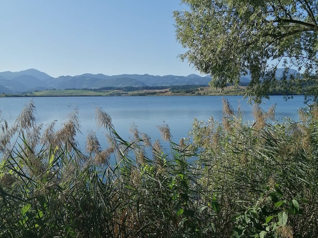 Velenje Beach-Velenje必去景点