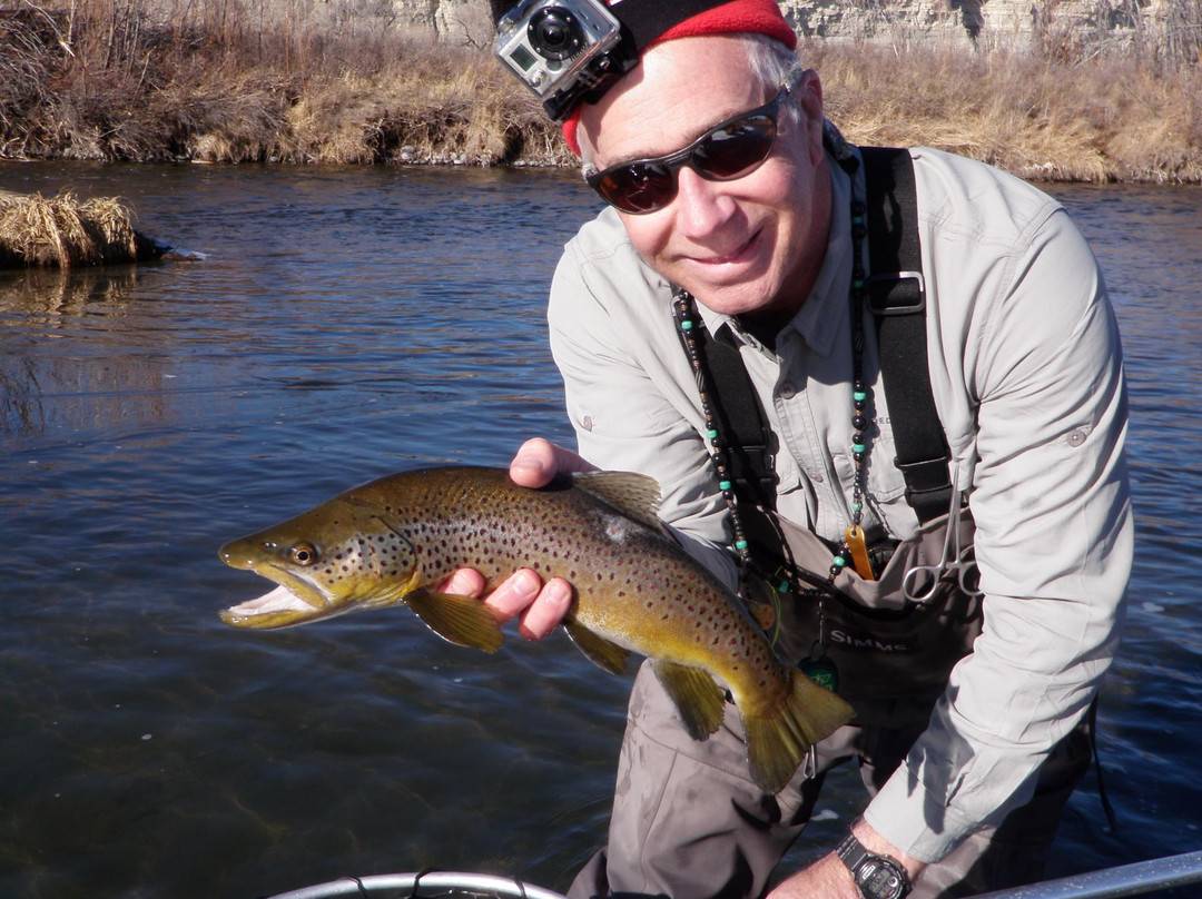 Madison River Guides景点图片