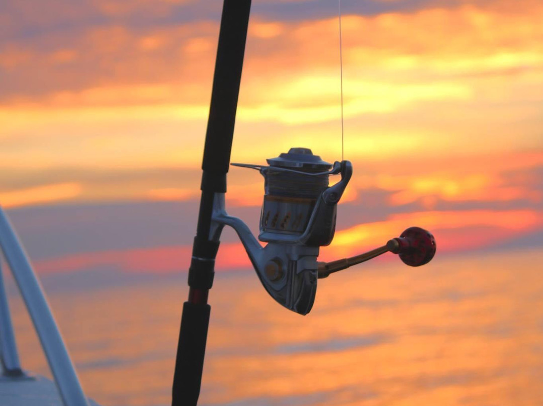 Coastal Charters Sportfishing景点图片