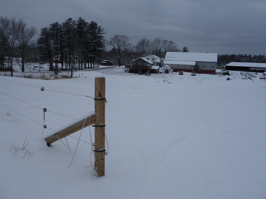 Harris Farm Cross Country Skiing景点图片
