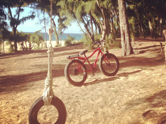 Pedego Electric Bikes North Shore