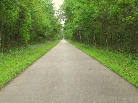 General James A. Van Fleet State Trail