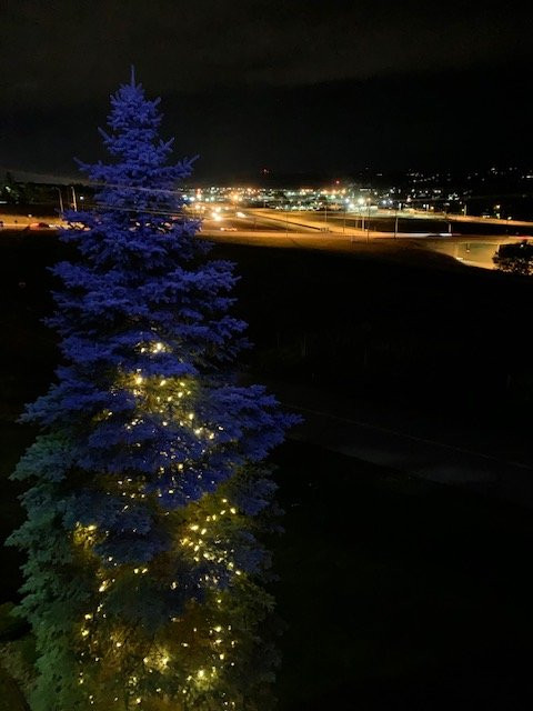 Comfort Inn & Suites主图