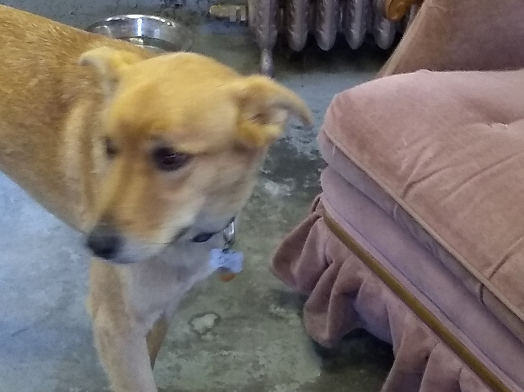 Brocklebank Craft Brewing-Tunbridge必去景点