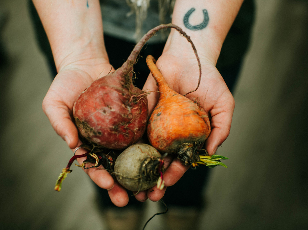 Ester旅游景点-The Roaming Root Cellar