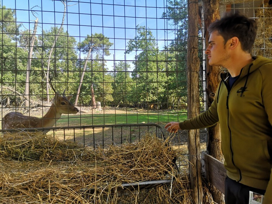 Parco Zoo di Poppi景点图片