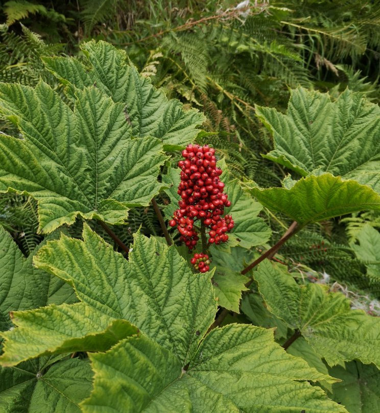 Carter Lake trail-穆斯帕斯必去景点