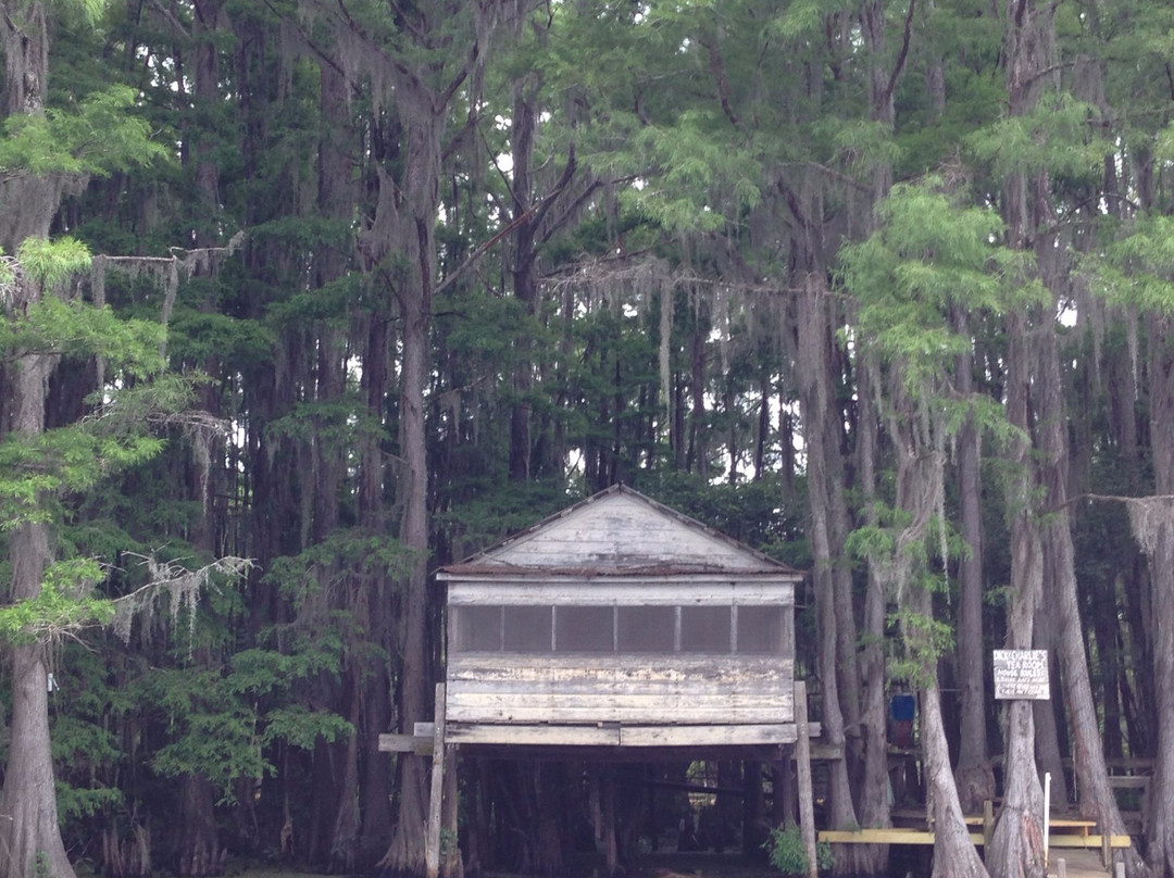 Big Cypress Tours-Uncertain必去景点