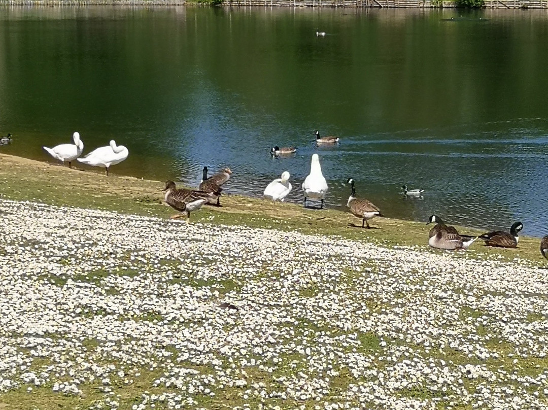 Haysden Country Park景点图片