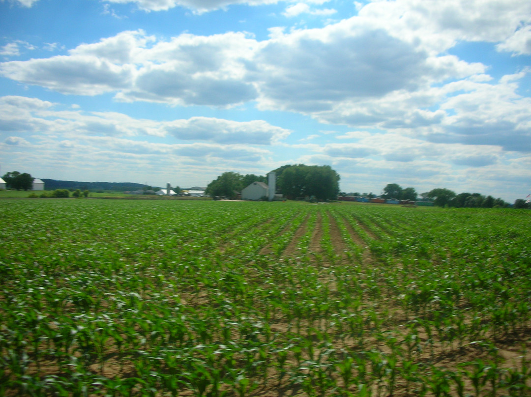 Verdant View Farm景点图片