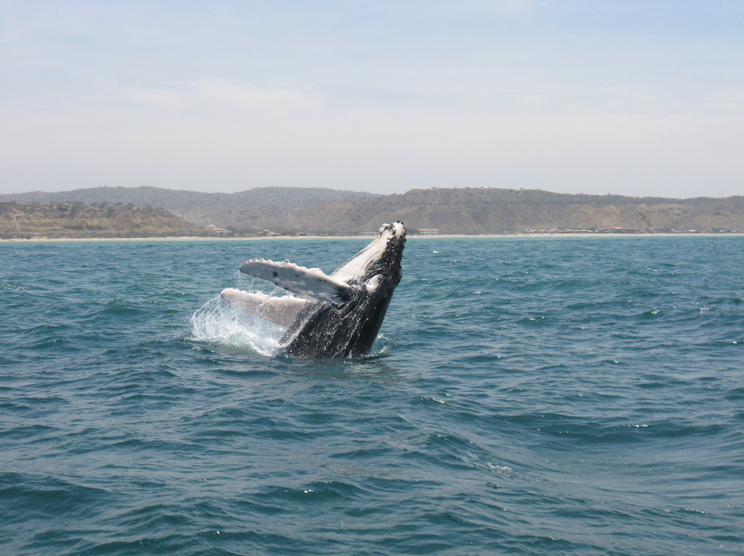 North Shore Peru Expeditions景点图片