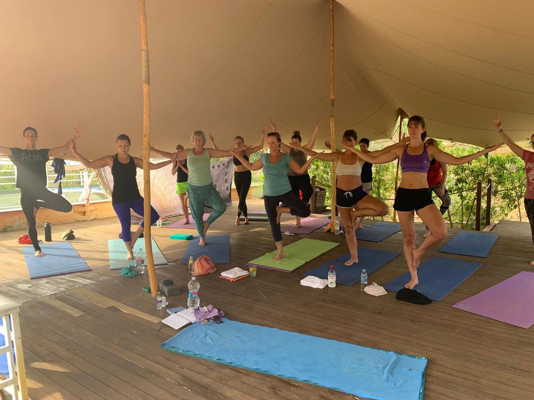 Anahata Dive & Yoga景点图片