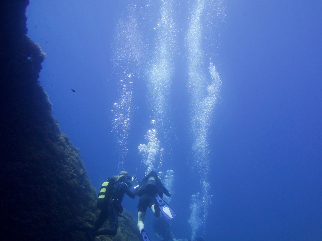 Octopus Mallorca景点图片