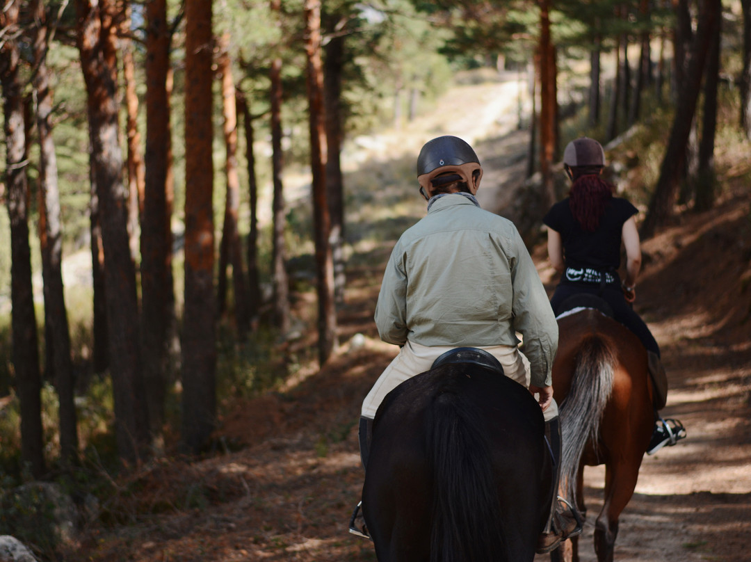 Horse Riding Madrid -Jarahonda-Collado Mediano必去景点