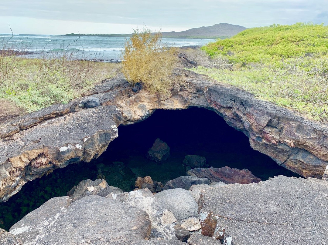 El Túnel del Estero-维里亚米尔港必去景点