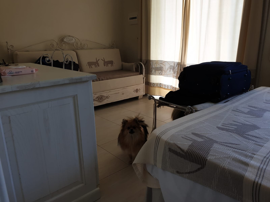Budoni Beach Hotel主图