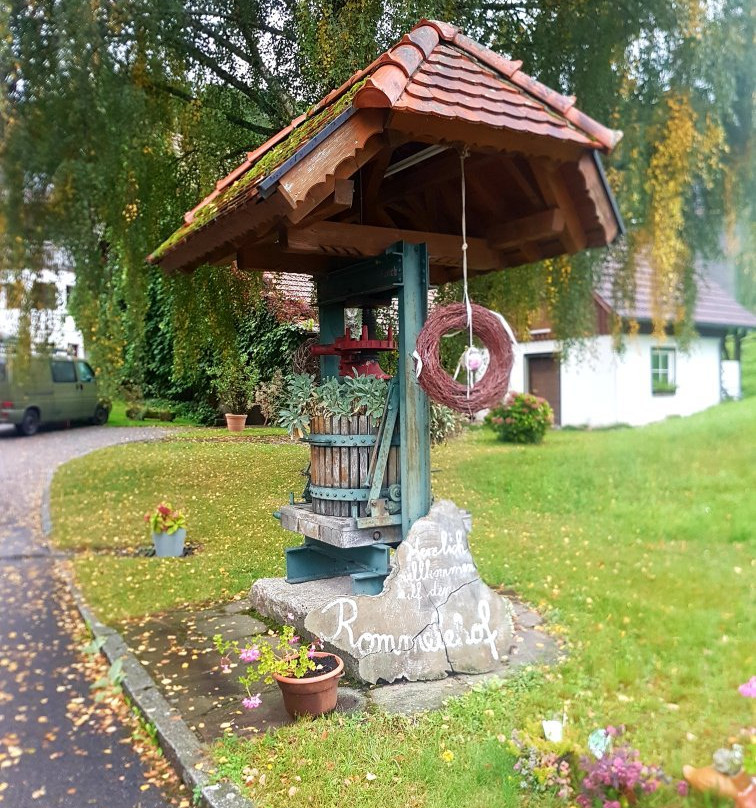 Gutach im Schwarzwald酒店住宿-Rommelehof