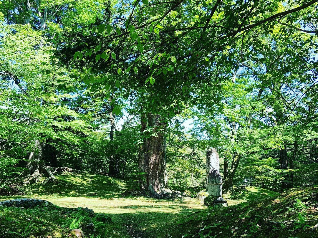 Suwa Shrine-轻井泽町必去景点