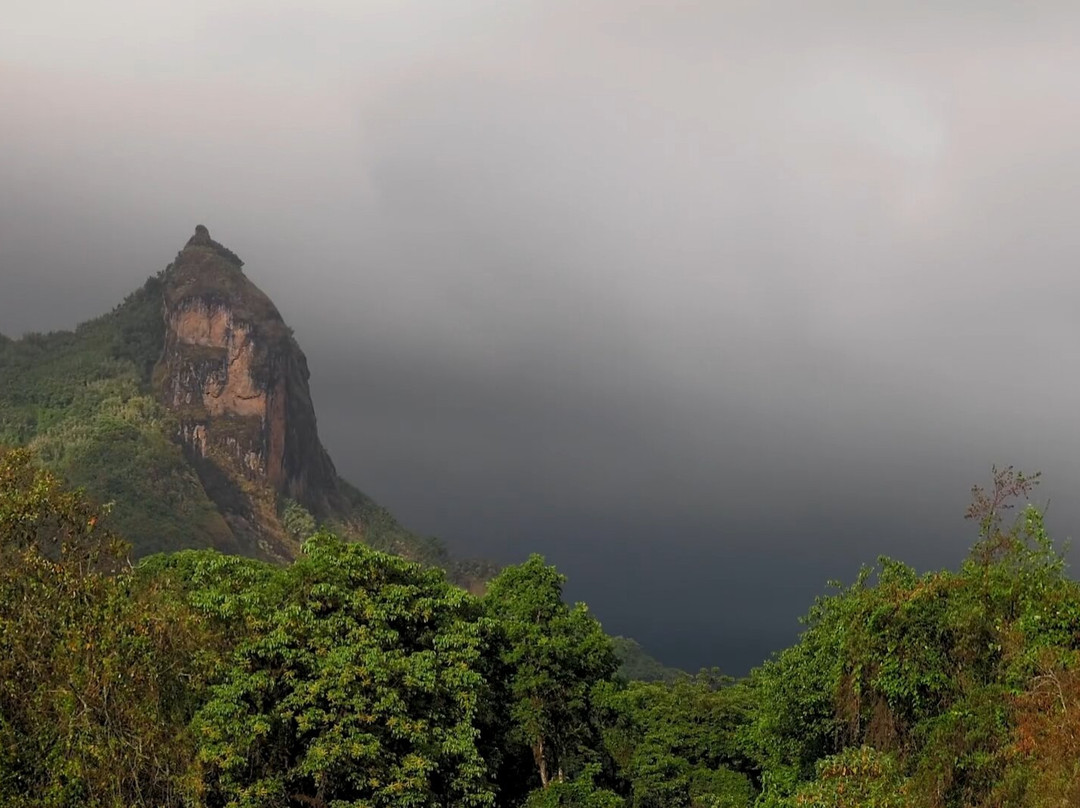 Bale Mountains Eco Trekking Tours景点图片