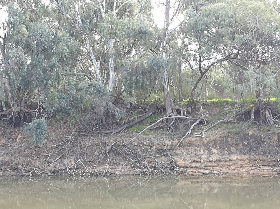 Murray River-伊丘卡必去景点
