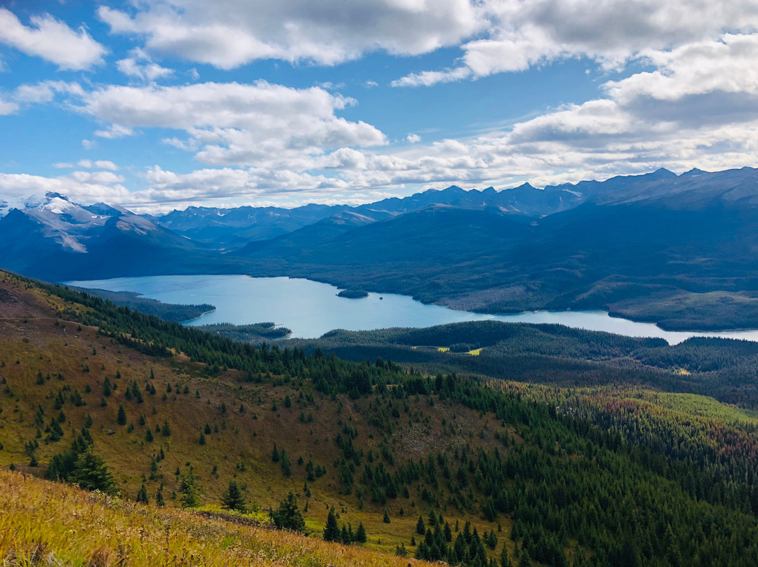 Opal Hills-贾斯珀必去景点