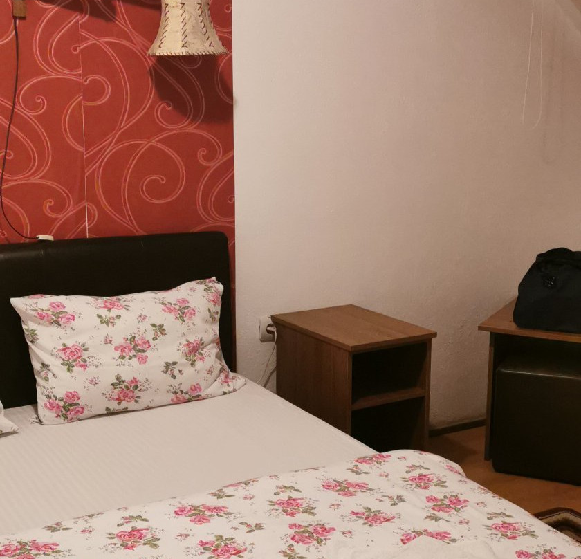 White Horse Pensiunea主图