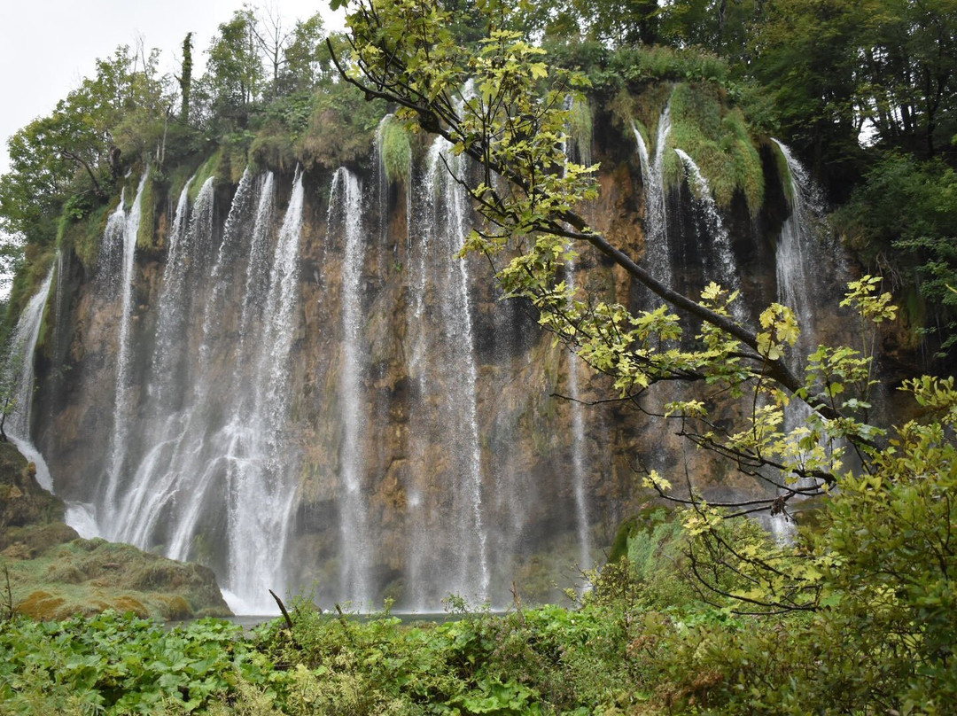 里卡别墅酒店主图