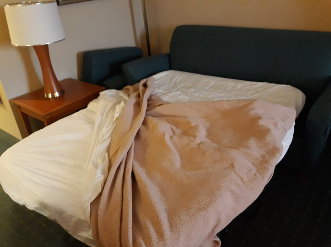 Wingate by Wyndham Richmond Short Pump主图