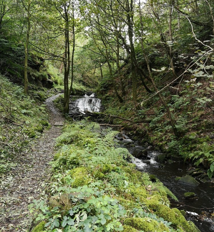 Gorpley Clough  Local Nature Reserve景点图片