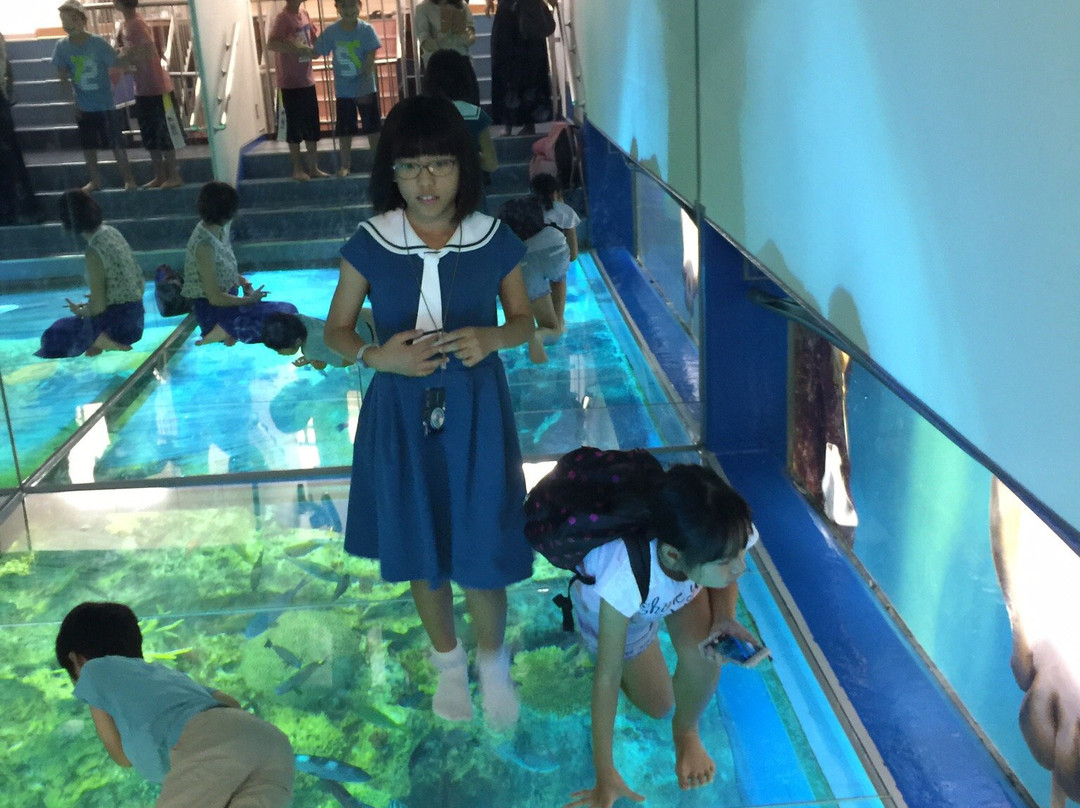 Echizen Matsushima Aquarium景点图片