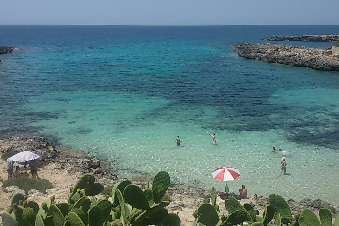 baia Villa verde景点图片