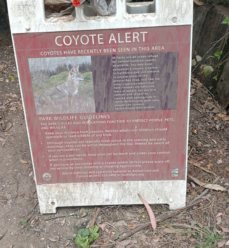 Glen Canyon Park-旧金山必去景点