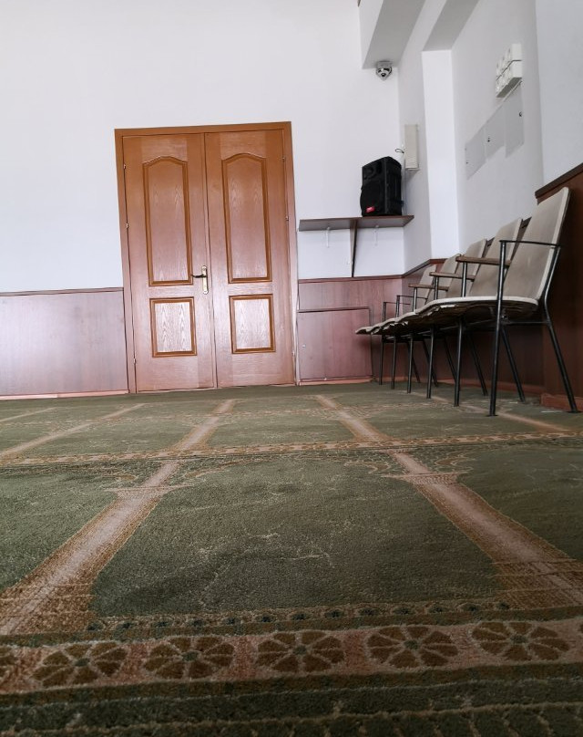 Chisinau Mosque-基希讷乌必去景点