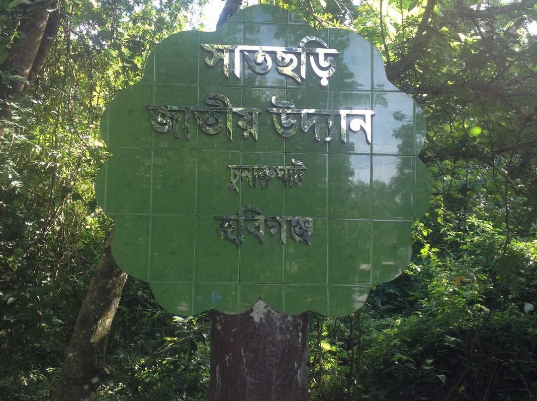 Satchari National Park景点图片