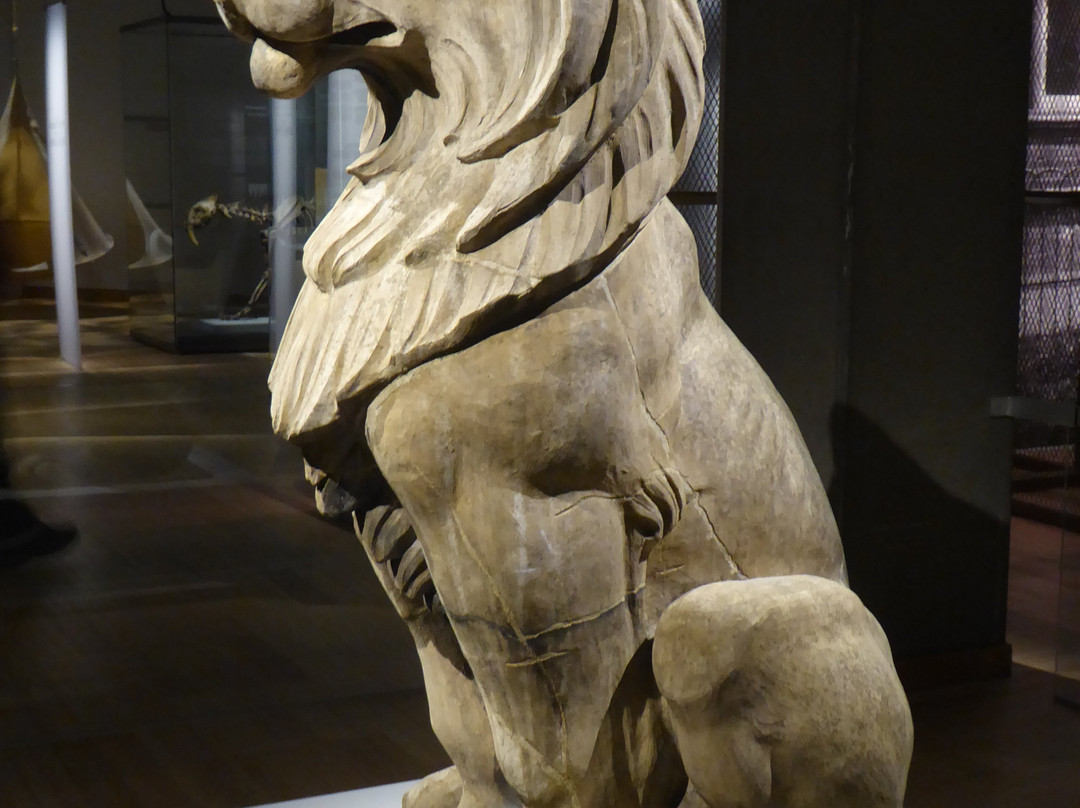 Musee de la Civilisation-魁北克市必去景点