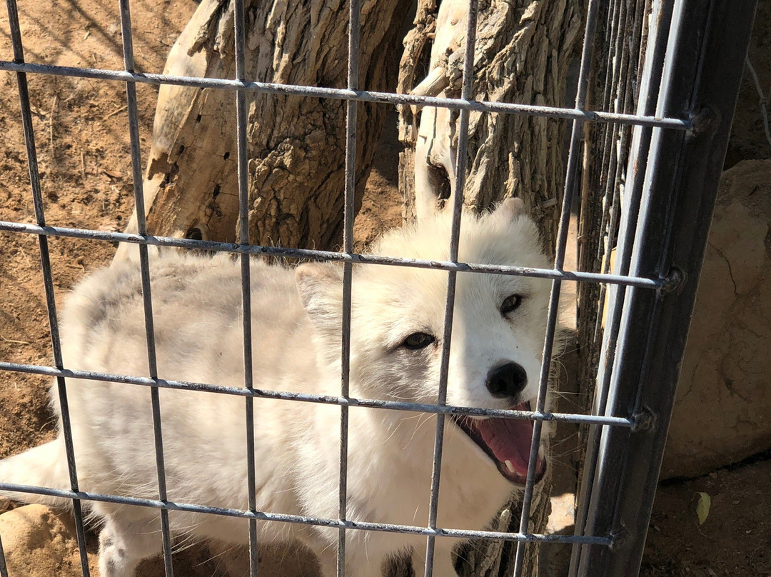 Hesperia Zoo-希斯皮里亚必去景点