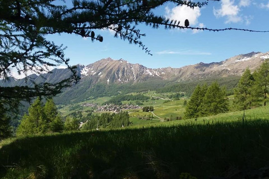 Guide Escursionistiche  Aessedi NWP-亚历山德里亚必去景点